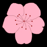 WWW,se609·COM网站APP